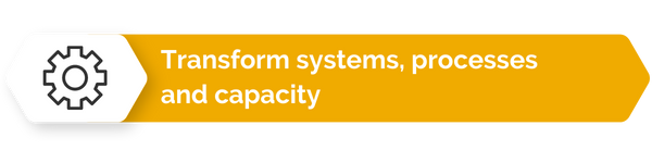 Transform systems, processes and capacity